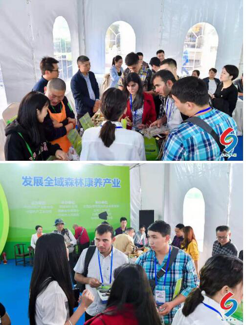 图片5.png